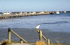Port Macdonnell SA Timeshare Accommodation