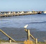 Seaview Motel and Holiday Units - Timeshare Accommodation