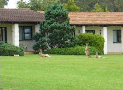 The Oaks Ranch & Country Club - Timeshare Accommodation 1