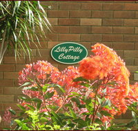 Lillypilly - Timeshare Accommodation