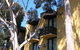 Pathfinder Motel - thumb 1