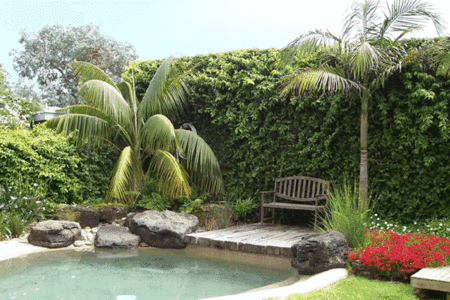 The Tropicana Motor Inn - Timeshare Accommodation 2