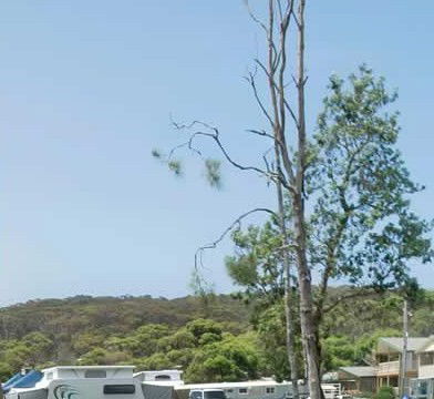 Merry Beach Caravan Park - Timeshare Accommodation 2