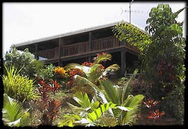 Daintree Manor - Timeshare Accommodation 5