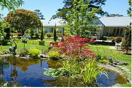  Timeshare Accommodation