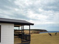 Book Stokes Bay Accommodation Vacations Timeshare Accommodation Timeshare Accommodation