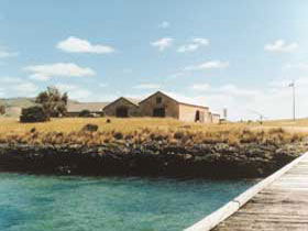 Mt Dutton Bay Woolshed Hostel - Timeshare Accommodation 0
