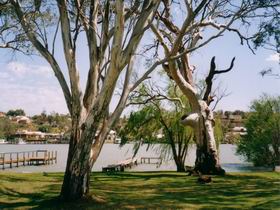 Shack 31 Bolto Reserve - Timeshare Accommodation 0