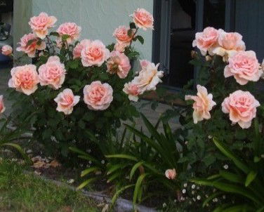 Lot 7 Cottage - Timeshare Accommodation 5