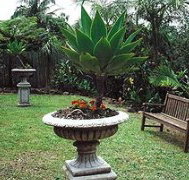 Bangalow Retreat - Timeshare Accommodation