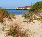 Marion Bay Caravan Park - Timeshare Accommodation 5