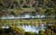 Riverview Rise Retreats - thumb 4