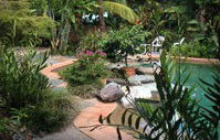 Galvins Edge Hill Bed And Breakfast - Timeshare Accommodation 5