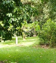 Kingfisher Park Birdwatchers Lodge - Timeshare Accommodation 0