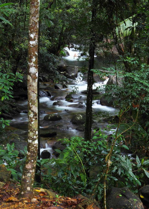 Daintree Secrets (Award Winning Retreat) - Timeshare Accommodation 2