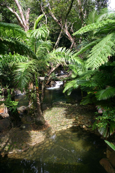 Daintree Secrets (Award Winning Retreat) - Timeshare Accommodation 4