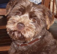 Lagoon Pocket Bed and Breakfast