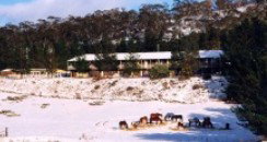 Cooba Holiday Motel - Timeshare Accommodation 2