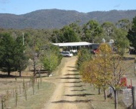 Snowy Vineyard Cottage - Timeshare Accommodation 2