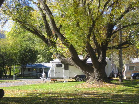 Tumbarumba Creek Caravan Park - Timeshare Accommodation 0