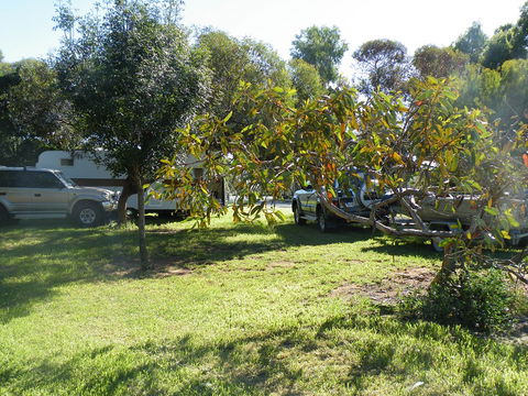 Kyalite Caravan Park - Timeshare Accommodation 3