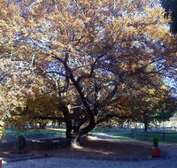 Hillview Oak Bed and Breakfast - Timeshare Accommodation