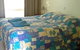 Jerilderie Motor Inn - thumb 2