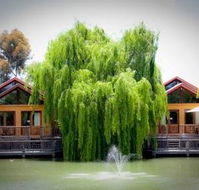 Perricoota Vines Retreat - Timeshare Accommodation