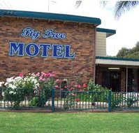 Fig Tree Motel - Timeshare Accommodation