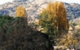 Birches Bed And Breakfast At Nundle - thumb 0
