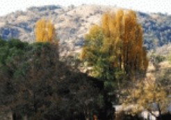Birches Bed And Breakfast At Nundle - Timeshare Accommodation 0