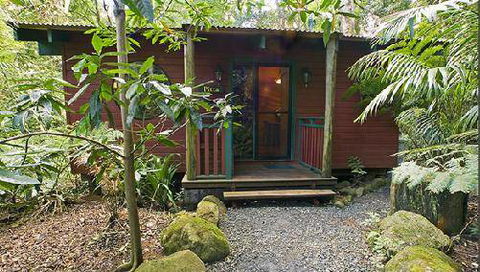 Springbrook Lyrebird Retreat - Timeshare Accommodation 0