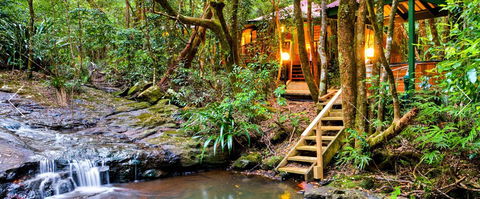 The Mouses House - Rainforest Retreat - Timeshare Accommodation 0