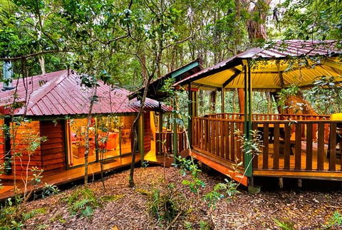 The Mouses House - Rainforest Retreat - Timeshare Accommodation 4