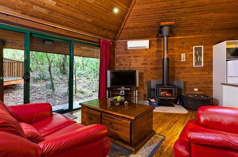 The Mouses House - Rainforest Retreat - Timeshare Accommodation 5