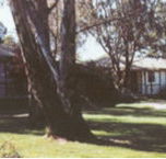 Winbi River Resort - Timeshare Accommodation