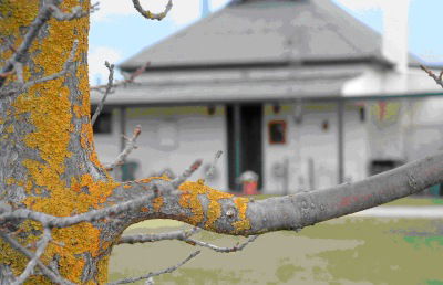 Dunalan Host Farm Cottage - Timeshare Accommodation 1