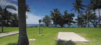 Book Kurrimine Beach Accommodation Vacations Timeshare Accommodation Timeshare Accommodation