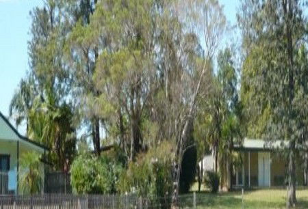 Nimbin NSW Timeshare Accommodation