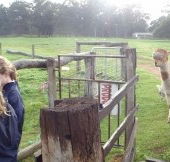 Boronia Farm Farmstay - Timeshare Accommodation