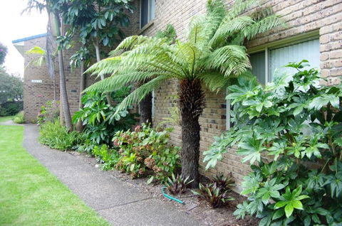 Beachfront Units Merimbula - Timeshare Accommodation 3
