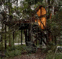 Wanderers Retreat Port Stephens