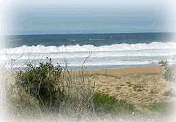 Box Head NSW Timeshare Accommodation