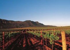 Peppers Guest House Hunter Valley - Timeshare Accommodation 2