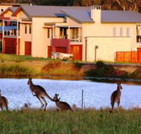 Grand Mercure The Vintage Hunter Valley - Timeshare Accommodation
