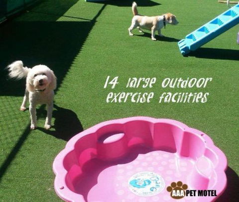 AAA Pet Motel - Timeshare Accommodation 2