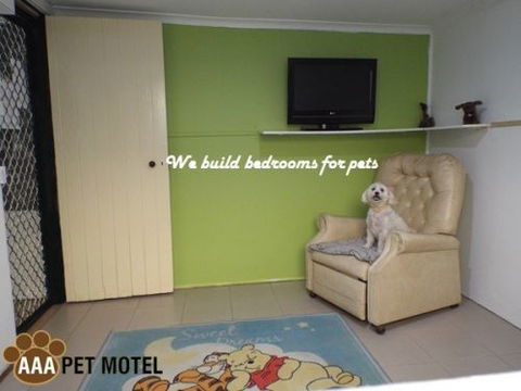 AAA Pet Motel - Timeshare Accommodation 3