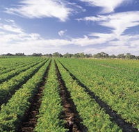 Diplomat Motel amp Restaurant