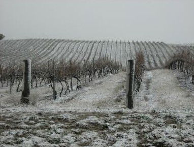 Turners Vineyard - Timeshare Accommodation 3