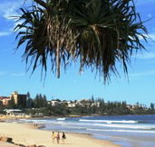Mariners Caloundra - Timeshare Accommodation